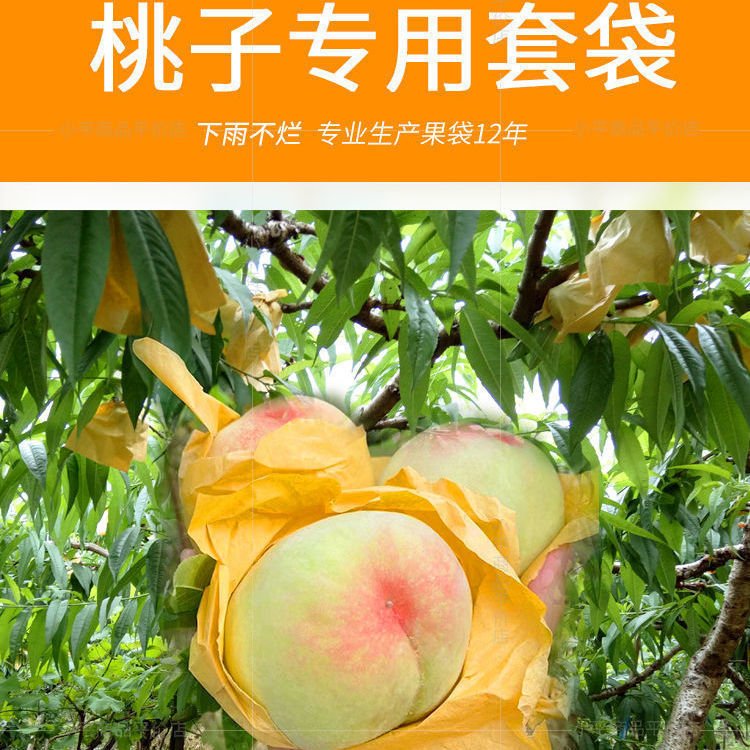 Fruit bag wholesale set loquat set set pear set peach set citrus set pomelo lemon factory direct sales insect tree bagging - Image 3