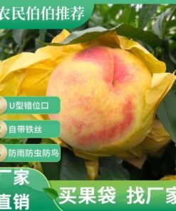 Alternative view of Fruit bag wholesale set loquat set set pear set peach set citrus set pomelo lemon factory direct sales insect tree bagging