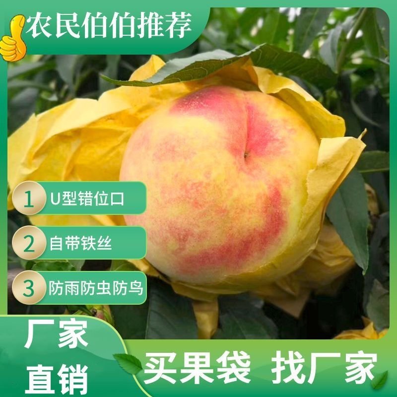 Fruit bag wholesale set loquat set set pear set peach set citrus set pomelo lemon factory direct sales insect tree bagging - Image 2