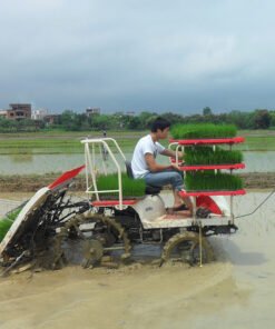 Alternative view of Hand-held small seedling rice transplanter suitable for traction type 6-8 row seedling seedling transplanter for southern paddy fields