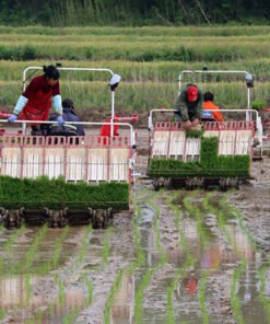 Hand-held small seedling rice transplanter suitable for traction type 6-8 row seedling seedling transplanter for southern paddy fields