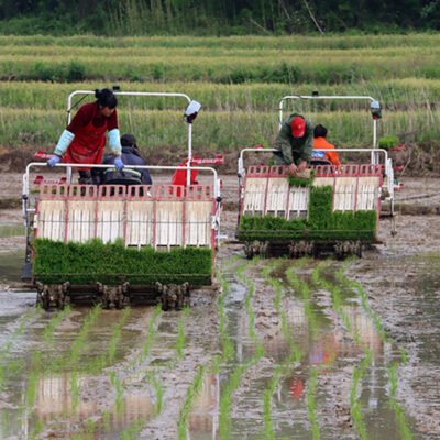 Hand-held small seedling rice transplanter suitable for traction type 6-8 row seedling seedling transplanter for southern paddy fields