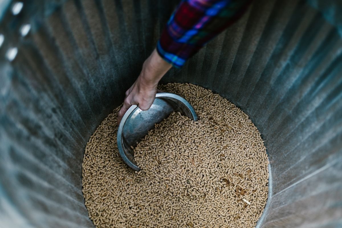 Close-up of animal feed pellets