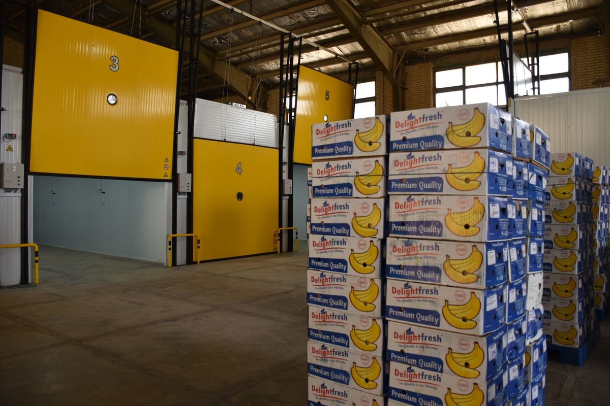 Cold storage facility with numbered insulated cold-room doors and pallets of boxed fresh produce