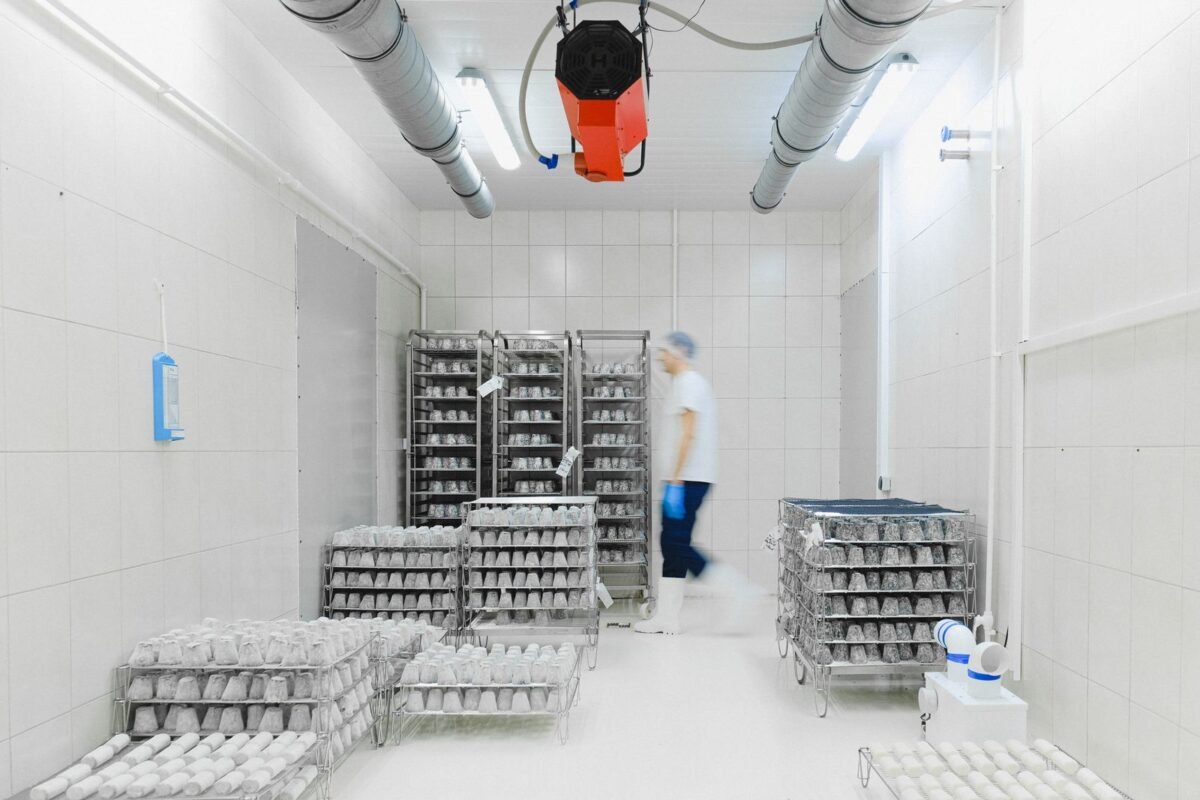 Inside a refrigerated cold storage room with product stored on stainless steel racks