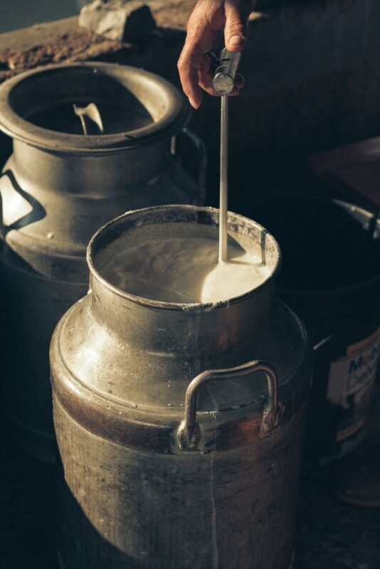 Fresh milk being mixed and tested in traditional milk churns at a collection point