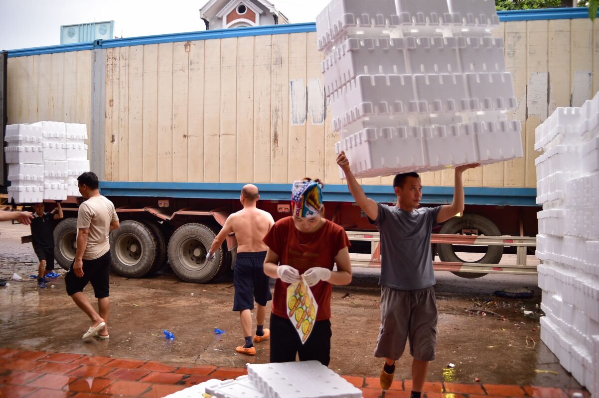 Workers loading stacked styrofoam insulated boxes onto a refrigerated truck