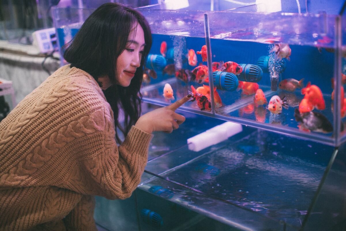Woman looking at colorful fish in aquarium tanks at a pet supply shop