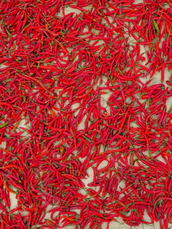 Red chillies spread out to dry on a mat in Bangladesh