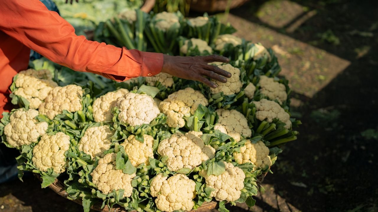 Vendor arranging fresh winter cauliflower at a Dhaka market