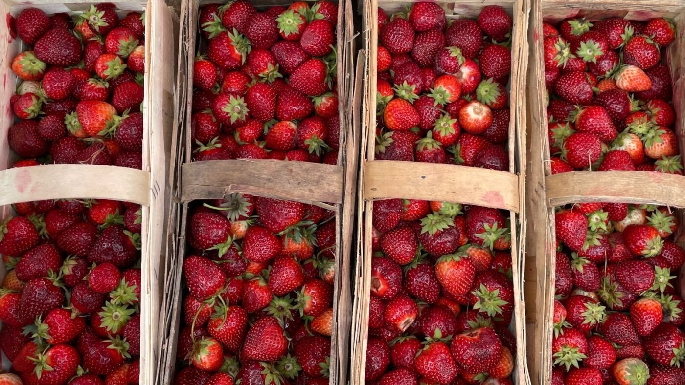 Freshly Harvested Strawberries in Wooden Crates