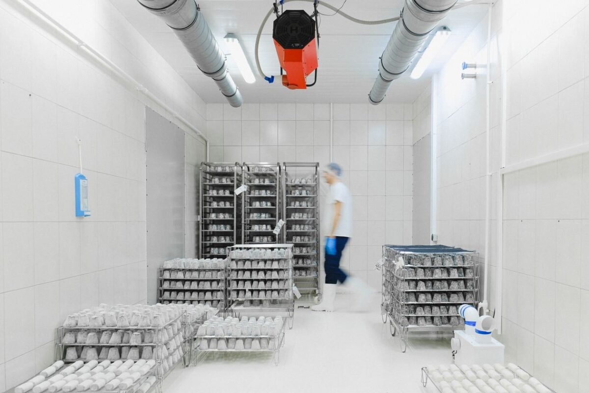 Worker inside an insulated cold room with stainless steel racks