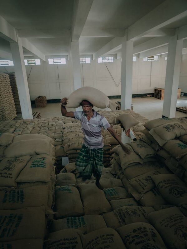 Worker carrying a grain sack in a warehouse stacked with jute sacks