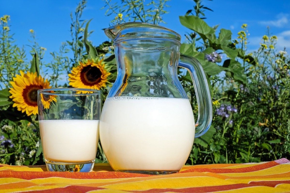 Fresh whole milk in a glass jug and glass