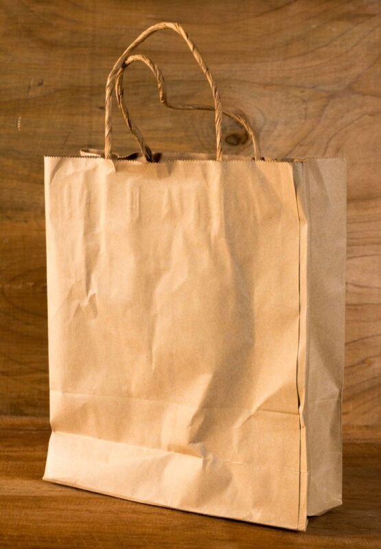 Brown kraft paper bag with twisted paper handles