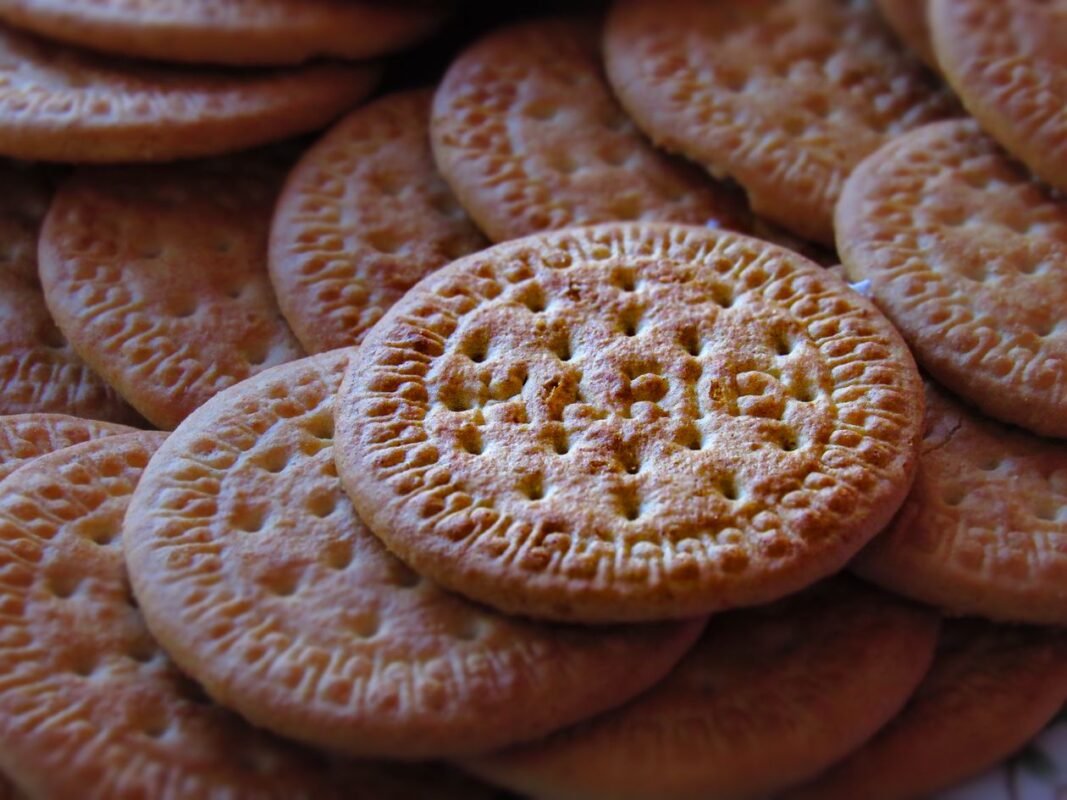 Stack of round docked Marie-style biscuits