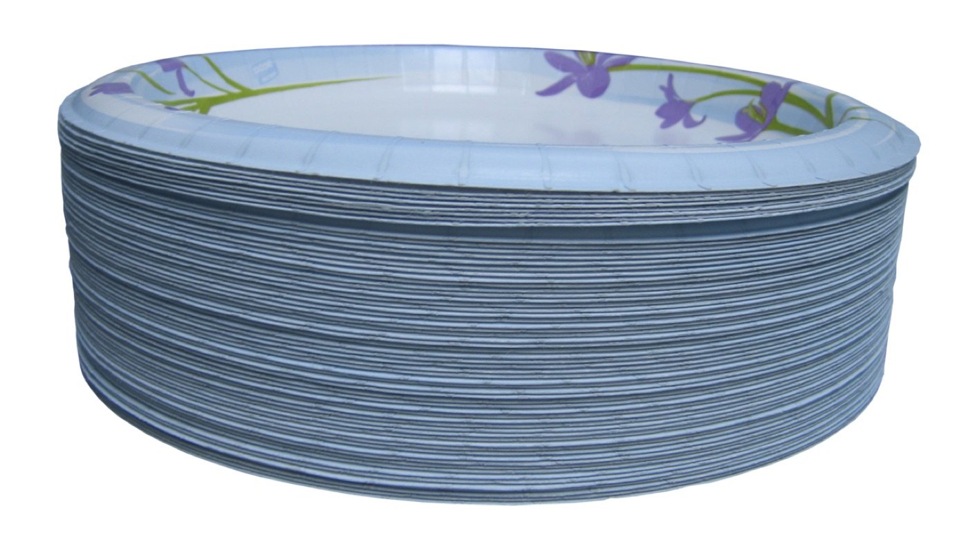 A stack of printed disposable paper plates