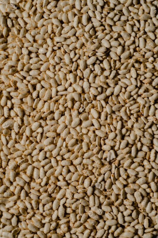 Close-up of puffed rice (muri)